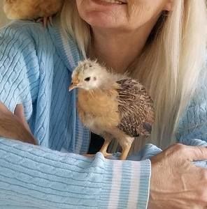 Meet your Posher, Lisa b